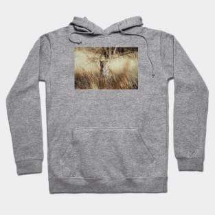 African Leopard 2 Hoodie